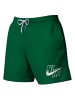 Nike Badeshorts 5" Volley Shorts in Grün