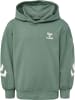 Hummel Hoodie Hmldue Hoodie in LAUREL WREATH