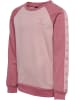 Hummel Sweatshirt Raglanärmel Hmlwulbato Mädchen in WOODROSE