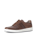 Gabor Sneaker low in braun