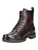 ara Stiefelette in Cacao