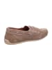 Andrea Conti Bootsschuhe in Beige