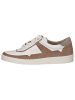 Caprice Sneaker in TAUPE COMB