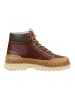 GANT Footwear Stiefelette in Cognac
