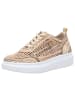 Artiker in gold