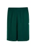 Karl Kani KK Insignia Shadow Pinstripe Soccer Shorts in Dunkelgrün