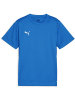 Puma T-Shirt "TeamGoal Jersey Jr" in Blau