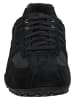 Geox Sneaker in Schwarz/Grau