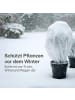 Praknu Wintervlies für Pflanzen Frostschutz 50g/m² - 20m × 1,6m auf Rolle