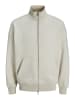 Jack & Jones Sweatshirt mit Reißverschluss in Moonbeam