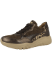 Gabor Sneaker low 73.451 in dunkelbraun