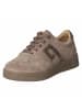 Beliana orthopädischer Schnürhalbschuh in grey
