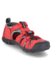 Keen Sandalen SEACAMP II CNX  in Rot