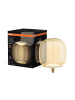 Osram OSRAM Vintage 1906 Big Oval Ist Eine Dimmbare, Dekorative Lampe Aus Kunststoff