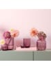 Villeroy & Boch 3er Set Vasen-Set Fleur 11 cm in bunt
