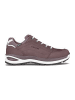 LOWA SHOES "Renegade Evo GTX Lo" in Braun