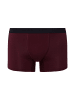 Hanro Panty Cotton Essentials in barolo / ombre blue