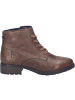 Josef Seibel Stiefelette Kate 17 in braun