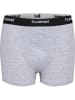 Hummel Boxer Hmljr Nalle Kinder in GREY MELANGE/DRESS BLUES/BLACK