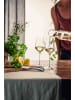 Eisch 2er Set Weißweingläser Sky SensisPlus 380 ml in transparent