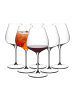 RIEDEL Glas 6er Set Pinot Noir / Nebbiolo Weingläser Grape in 750 ml in transparent