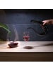 Intirilife Wein Dekanter in U-Form Glas 750 ml Weinkaraffe Dekantierer in Schwarz