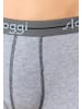 Sloggi Hipster / Pant Start in Grey Combination