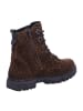 PEPINO Schnürstiefel in Braun
