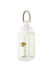 Mr. & Mrs. Panda Outdoor Laterne Avocado Yoga ohne Spruch in Transparent