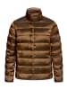 Betty Barclay Daunen-Steppjacke mit Stehkragen in Braun