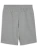 Puma Sporthose "TeamGoal CasuaLongsleeve Shorts" in Grau
