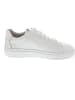 Gant Mc Julien Sneaker low Weiß