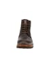 PANAMA JACK Ankle-Boots Emery Igloo in Braun