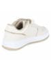 Champion Sneaker RD18 2.0 LOW G PS in beige