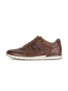 Pius Gabor Sneaker low in braun