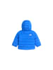 North Face Jacke NF0A88W3NLQ1 Hellblau