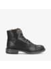 phenumb Stiefeletten/Boot in schwarz