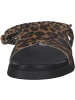 Steve Madden Plateau-Pantoletten in Leopard