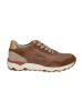 Josef Seibel Sneaker Jonah 05 in castagne-multi