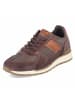 Bullboxer Schnürhalbschuh in brown