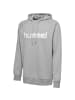 Hummel Logo Hoodie Kapuzen Pullover HMLGO in Grau