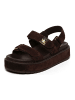 Steve Madden Sandalen in Dunkelbraun