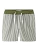 name it Shorts in Olivine
