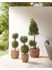 Beliani 3er-Set Outdoor Blumentopf AUCUBA in Braun