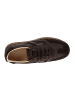 Gant Sneaker low Cuzima in Braun
