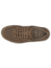 Solidus Sneaker Low in braun