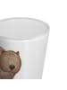 Mr. & Mrs. Panda Schnapsglas Wombat ohne Spruch in Transparent