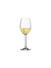 LEONARDO 12er Set Weingläser Daily in transparent