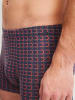 Calida New Boxer in anthrazit