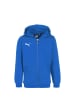 Puma Kapuzensweatjacke teamGoal 23 Casuals in blau / hellblau